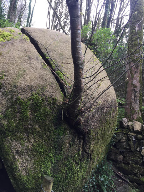 Hey guys) I want to share my old photo. Barely found. - My, Boulder, Tree
