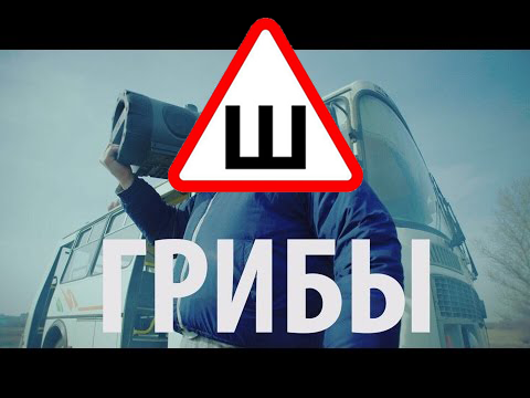 Между нами тают шипы