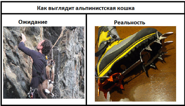 Альпинистская кошка | Пикабу