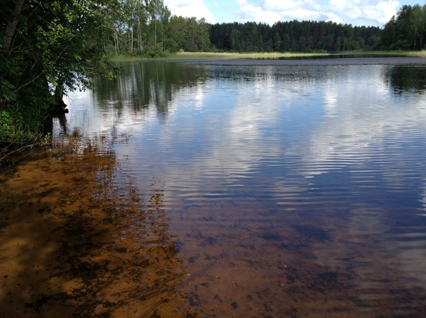 Hurry summer. - My, Relaxation, Fishing, Vacation, Longpost