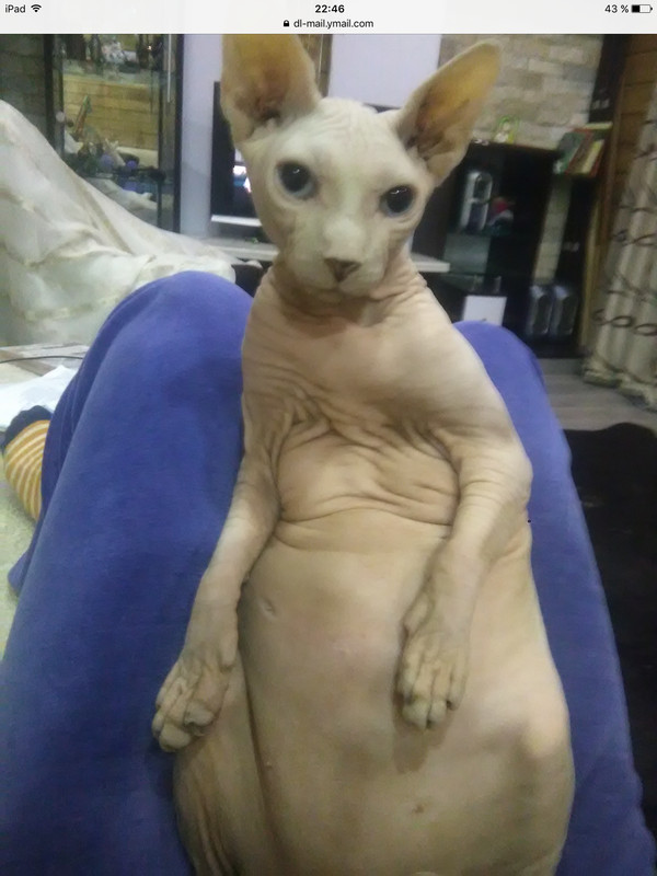  , , , 