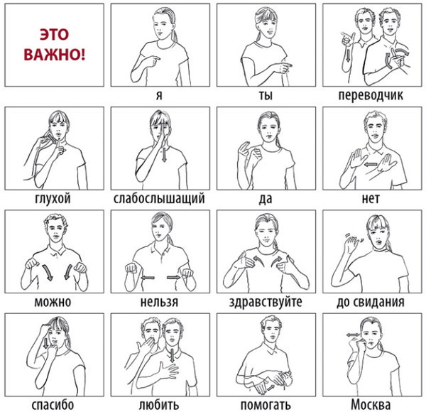 Язык жестов сложно ли учить