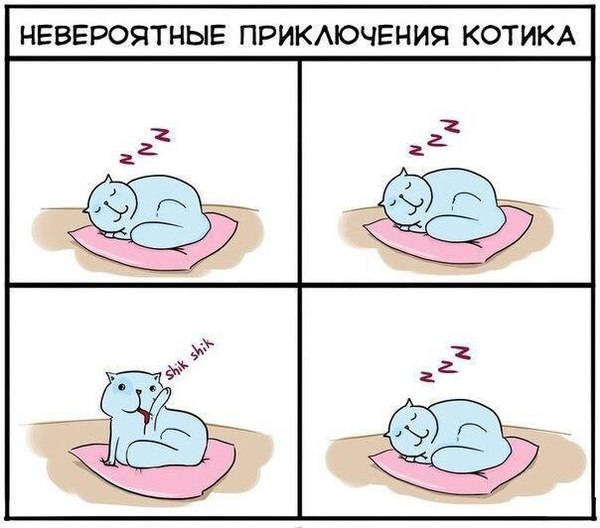 Ежедневные приключения