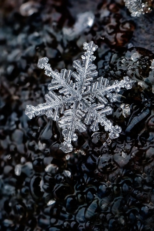 Ice post. - The photo, Ice, , Snowflake, Nature, Longpost