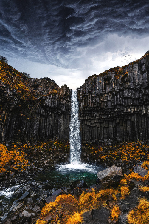 Water down the flying post. - The photo, Waterfall, The rocks, The mountains, Water, Forest, Nature, Longpost, GIF