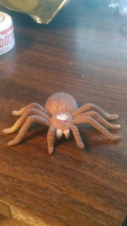 strange spider - Spider, The photo, Toys, 