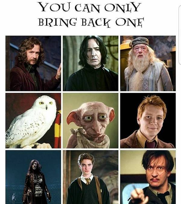 Which one would you bring back? - Harry Potter, Interactive, Movies