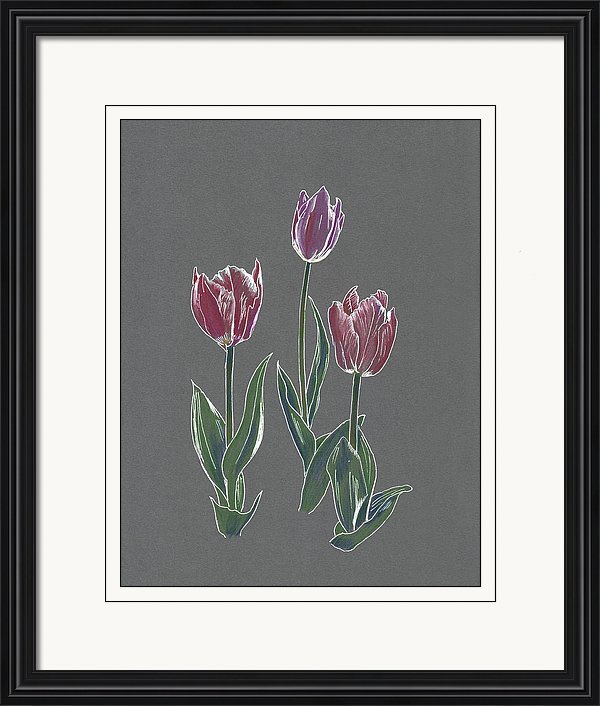 ISO. Tulips. Time-lapse - My, Painting, Creation, Art, Drawing, Painting, Colour pencils, Time-Lapse, Video, Longpost