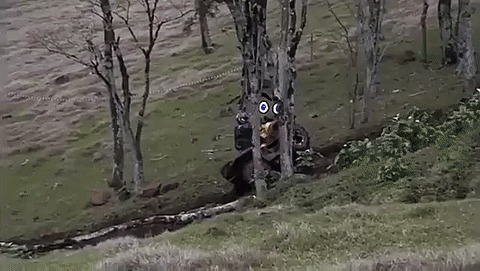    , , 