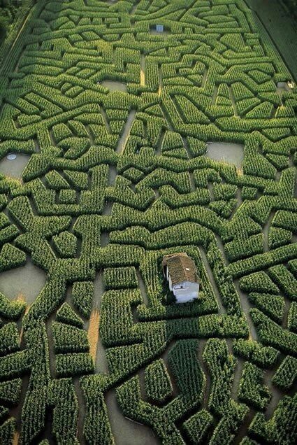 Corn Maze Cordes-sur-Ciel, Tarn, France - Maze, France