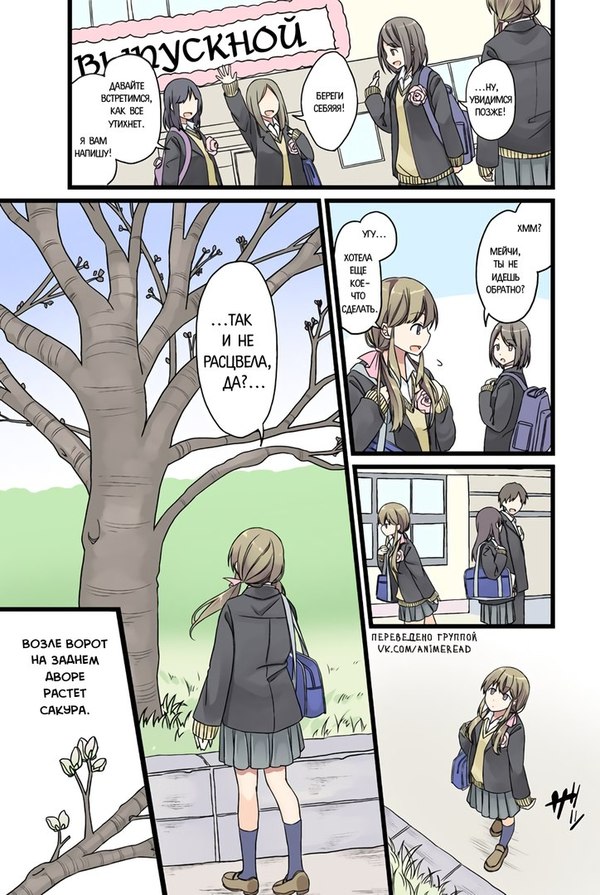 I'll wait for the day when the sakura blossoms - Anime, Manga, Nozomu Itoshiki-kun, Translation, Comics, Longpost