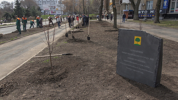 50 young lindens were planted in Donetsk as a sign of friendship between the residents of Lipetsk and Donetsk. - Donetsk, Lipetsk, , friendship, Donbass, Russia, Longpost, Linden