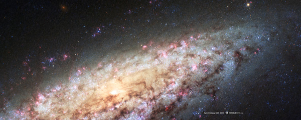 NGC 6503 is a lonely galaxy lost in space - Space, Hubble telescope, Galaxy, Space, Ngs, Loneliness, , The photo