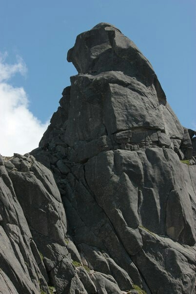 ��� �����