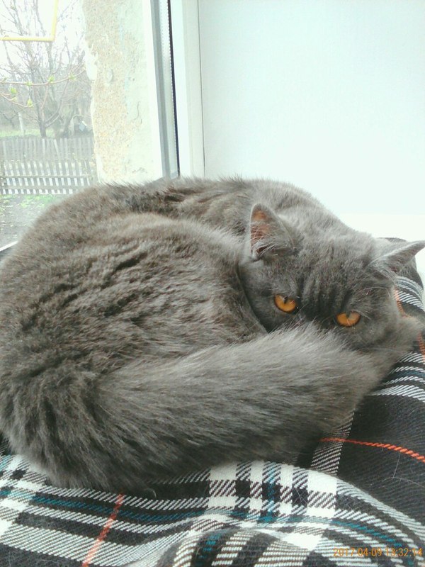 ���� � ��������