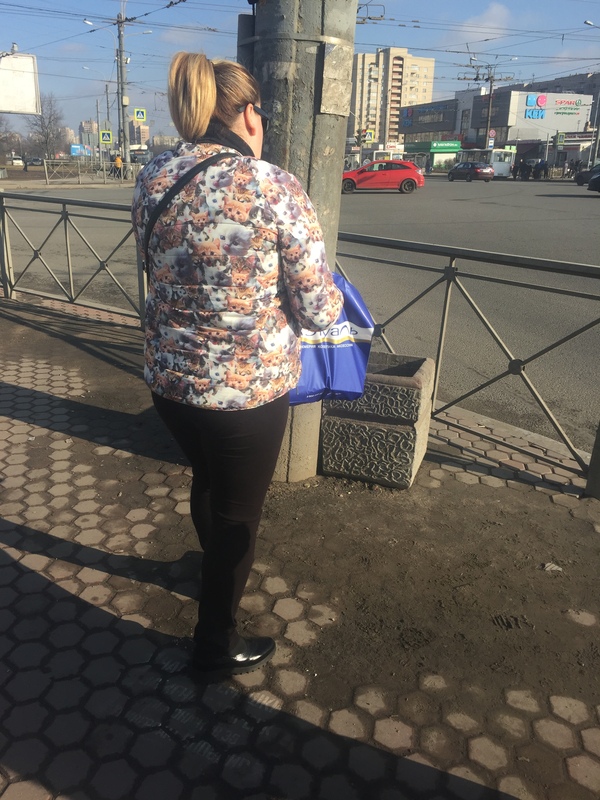 ������� � �����������...