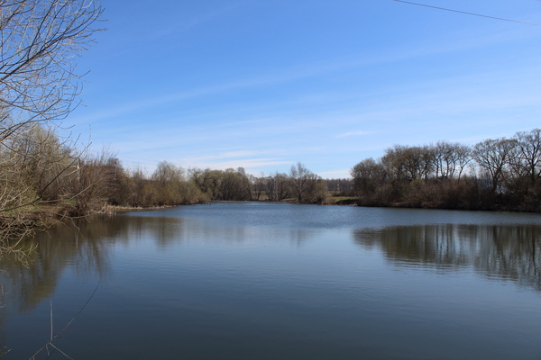 Pond - Pond, Spring, My, Sky