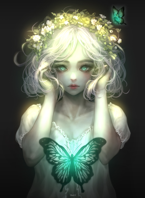 Fairy , 
