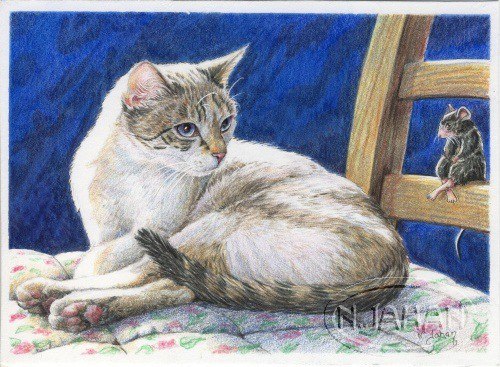 Author: Nicole Jahan - cat, Mouse, Petersburg cats