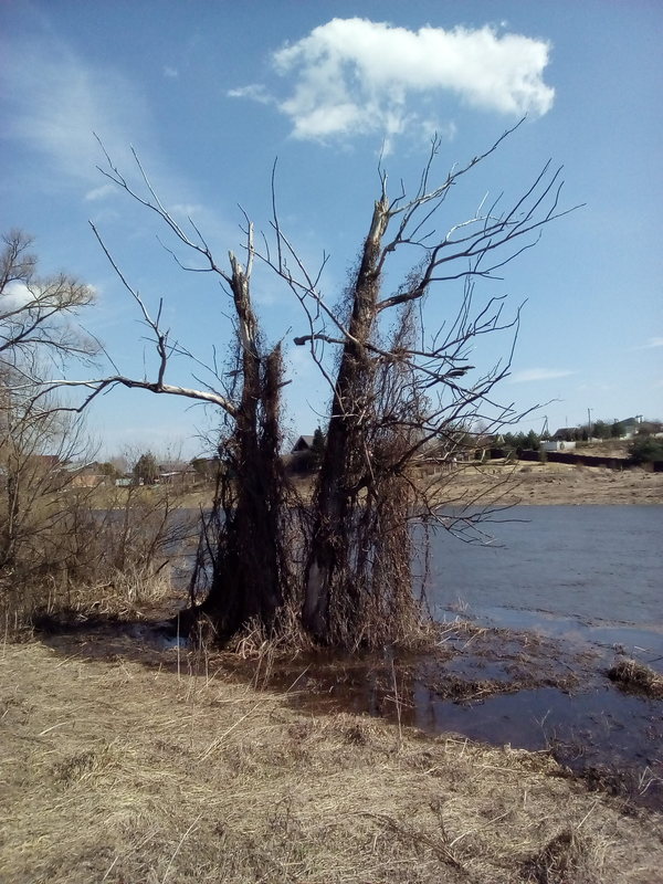 ����������