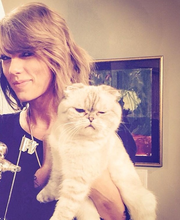 Taylor Swift with her cat - Taylor Swift, cat, 