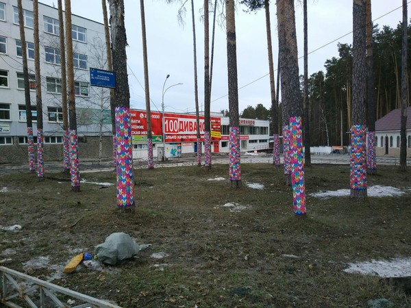 Trees in Yekaterinburg were dressed in sweaters. - My, Street art, Yekaterinburg, Heat, Milota