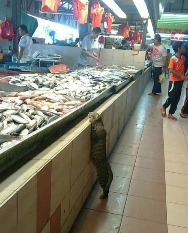 � ��� ������ ����� ������?