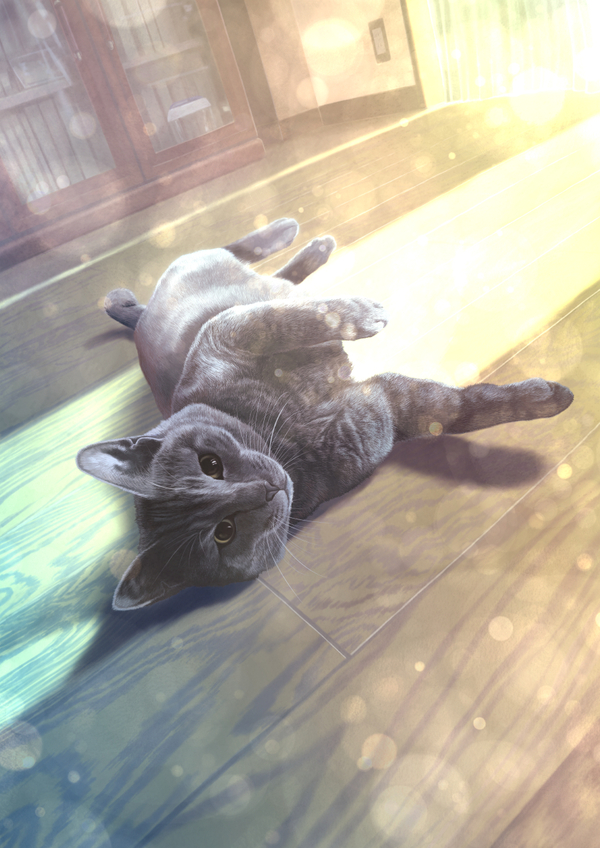 ��� ����� ��� ��� � �����