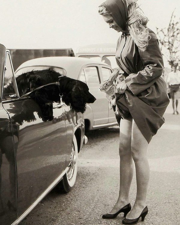 Brigitte Bardot showing a rabbit, 1956 - The photo, Past, 20th century, Brigitte Bardot, Girls, Blonde, Rabbit, Dog
