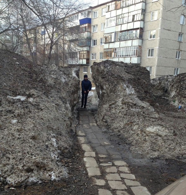 Молодой Моисей раздвигает море снега! - Моё, Снег, Томск, Весна