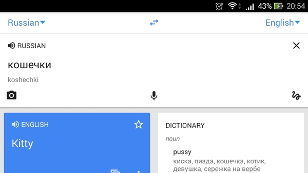 I like this google translator. - Translator, Google, cat