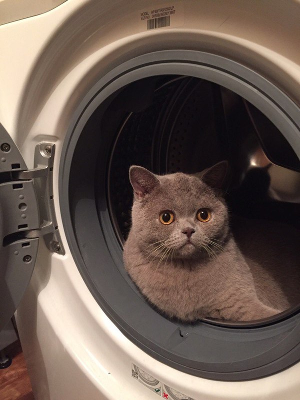 �� �������� ...