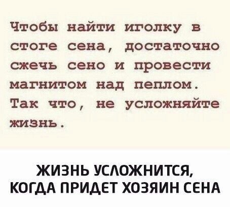 Не усложняйте себе жизнь - Сено, Иголка в стоге сена, Хозяин