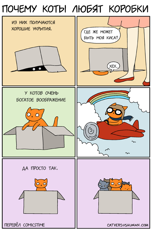 Cats and boxes - My, Catversushuman, Comicstime, Web comic, cat, Translation, Comics