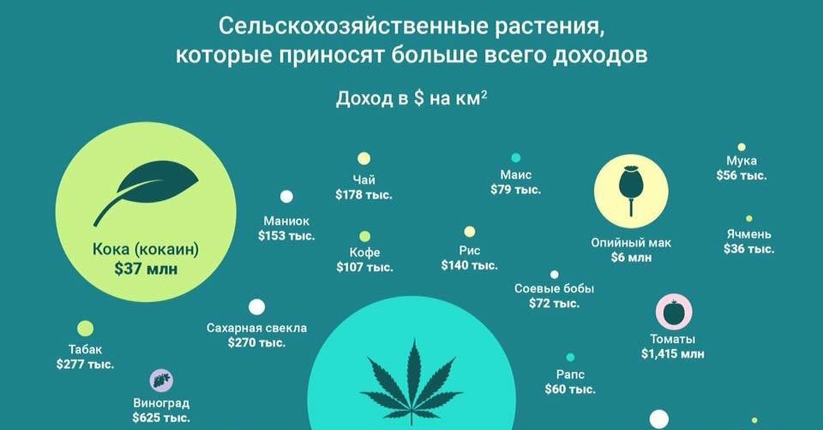 Что приносит высокий доход. Инфографика растения. Интересная инфографика. Инфографика интересные факты. Инфографика сельское хозяйство.