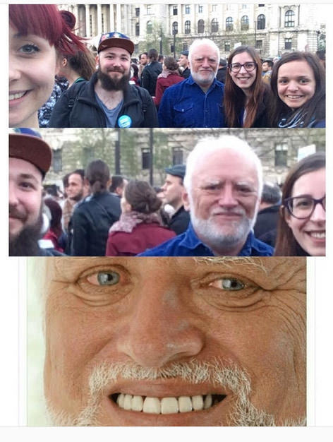 Harold at a demonstration in Hungary - Harold, Harold hiding pain, Demonstration, Hungary, 9GAG