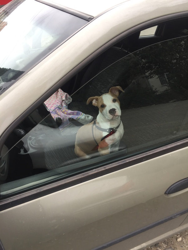 ���������� �������� :)