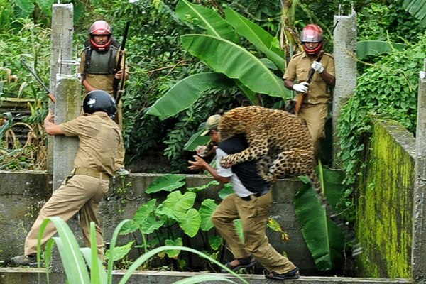 Не бросай меня, человек!