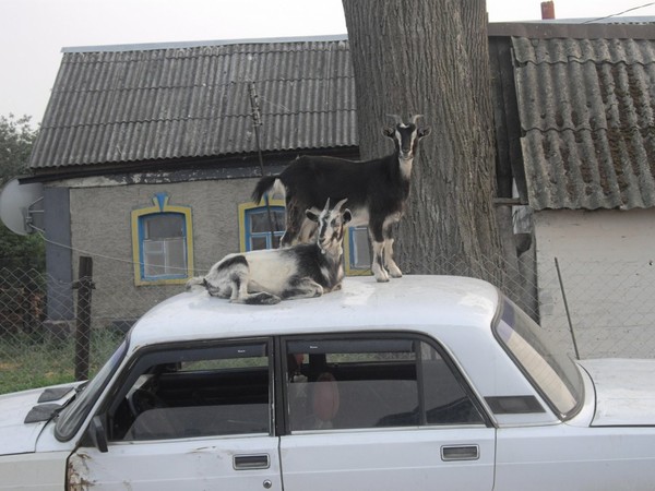 Проходя мимо, проходите мимо