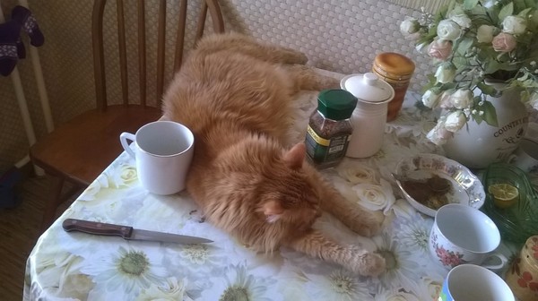 Застали на месте преступления...