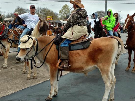 Cool horse hat ..? - Disguise, The photo, Humor, Not mine, Spy