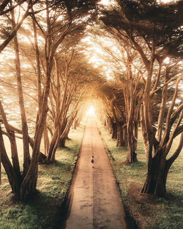 Наедине с природой | Пикабу