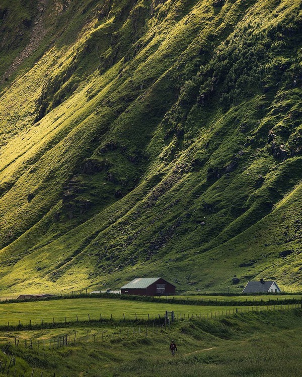 Наедине с природой | Пикабу