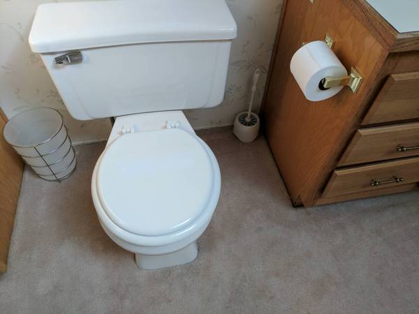 The next level - Persian carpet - Toilet, Toilet, Carpeting, Floor