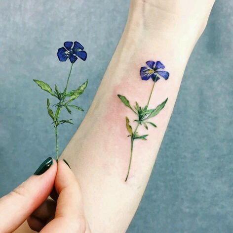 Botanical tattoos. 2 selection. - Tattoo, Flowers, , Longpost