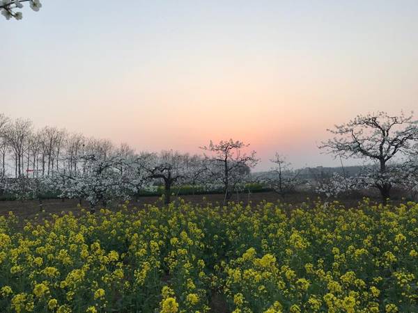 Опят валит снег говорите? Привет из Китая)