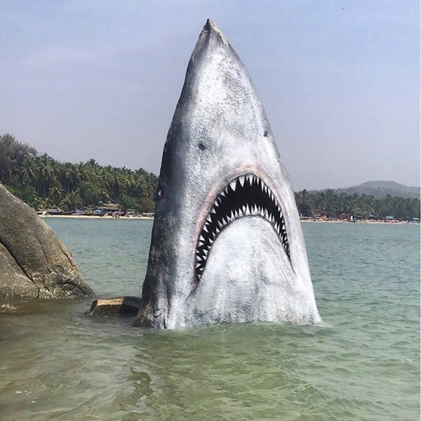 Shark on the stone - The photo, Street art, Beach, Shark