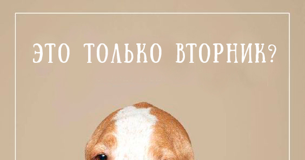 Сегодня простой. Картинка только вторник. Вторник юмор. Вторник обои. Еще только вторник.