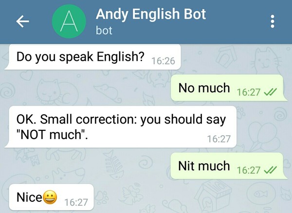 English teacher - My, English language, Chat Bot, Correspondence
