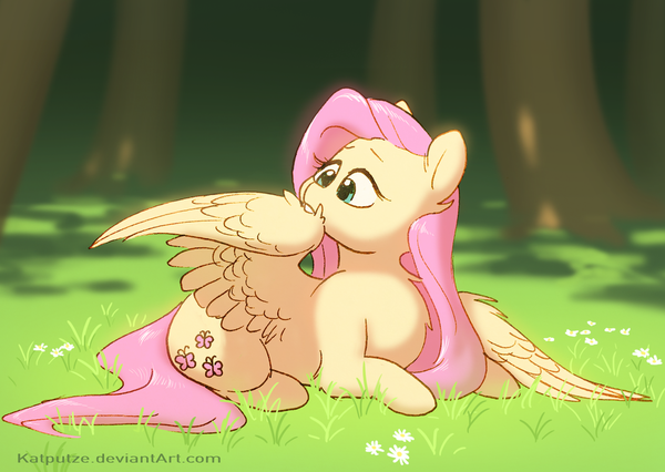    My Little Pony, Fluttershy